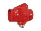 Swing check valve-Grooved End